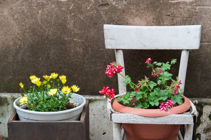 18 formas de fazer um jardim na sua casa