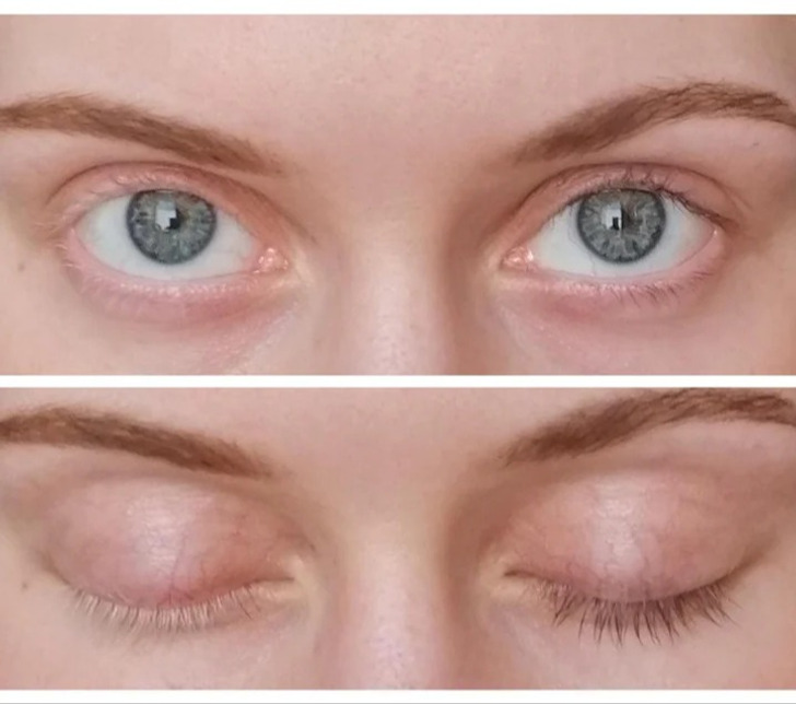 6. "Meus cabelos e cílios são naturalmente divididos em loiros e castanhos"