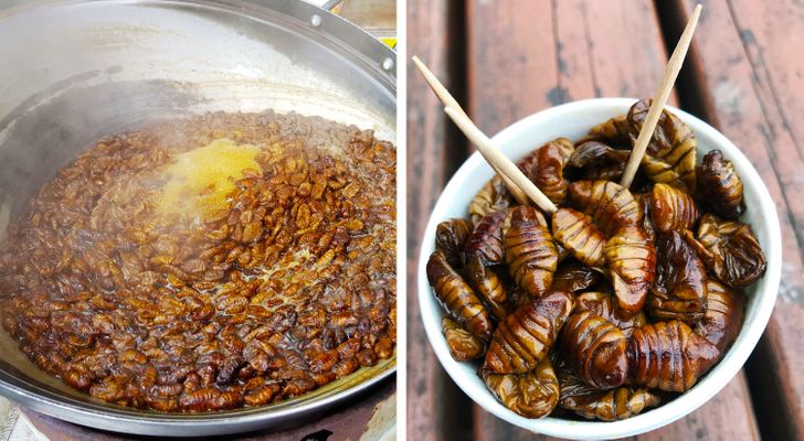 Tradicional comida de rua coreana com tradução de dakkochi de espetos de  frango coreanos