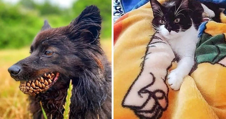 20 Fotos com perspectivas capazes de confundir nosso cérebro