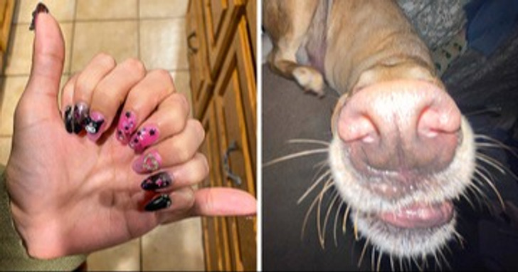 Confiamos em nosso cérebro e em sua capacidade de raciocínio. No entanto, nem sempre é confiável, pois também pode cair em algumas armadilhas. Um exemplo são as ilusões de ótica, que são imagens naturais ou criadas com efeitos que enganam o sistema visual, desde os olhos até o cérebro, levando-o a perceber uma realidade alterada. Hoje, compilamos algumas fotografias confusas que enganarão completamente seus sentidos e mudarão sua impressão do que é real.