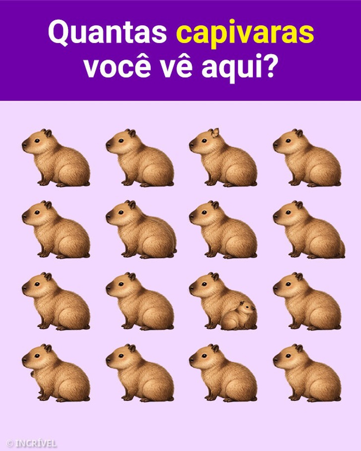 Eu contei 16, e você? 😵‍💫