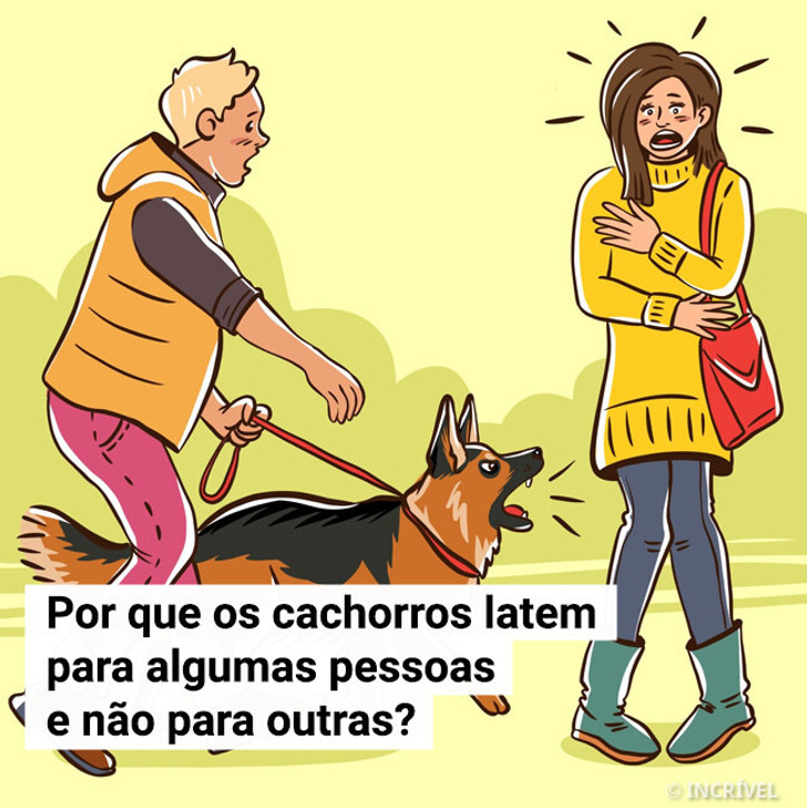 Por que os cachorros latem para algumas pessoas e não para outras