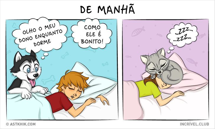 14 quadrinhos sobre as diferenças entre viver com um cão e com um gato