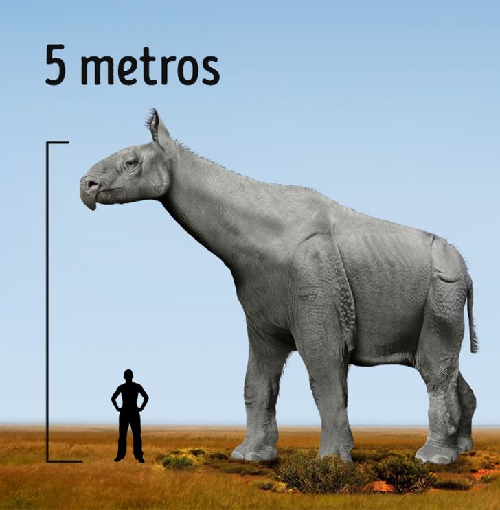 Os 10 Maiores Animais Que Ja Passaram Pela Terra