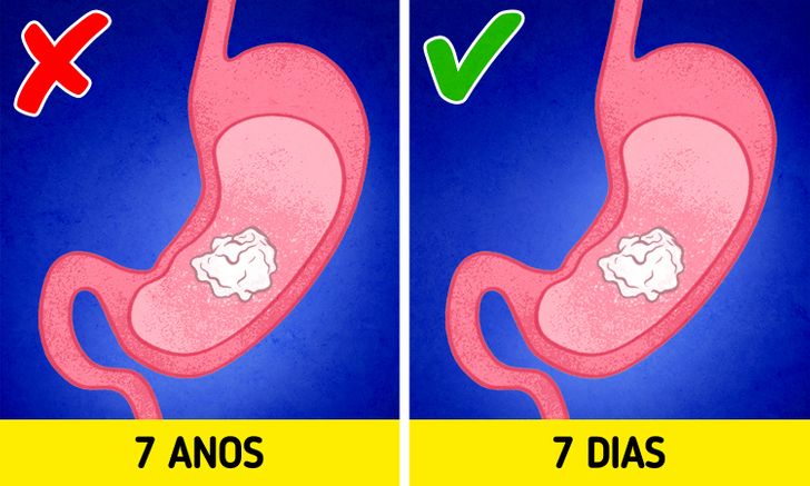 10 mitos detonados sobre o corpo humano