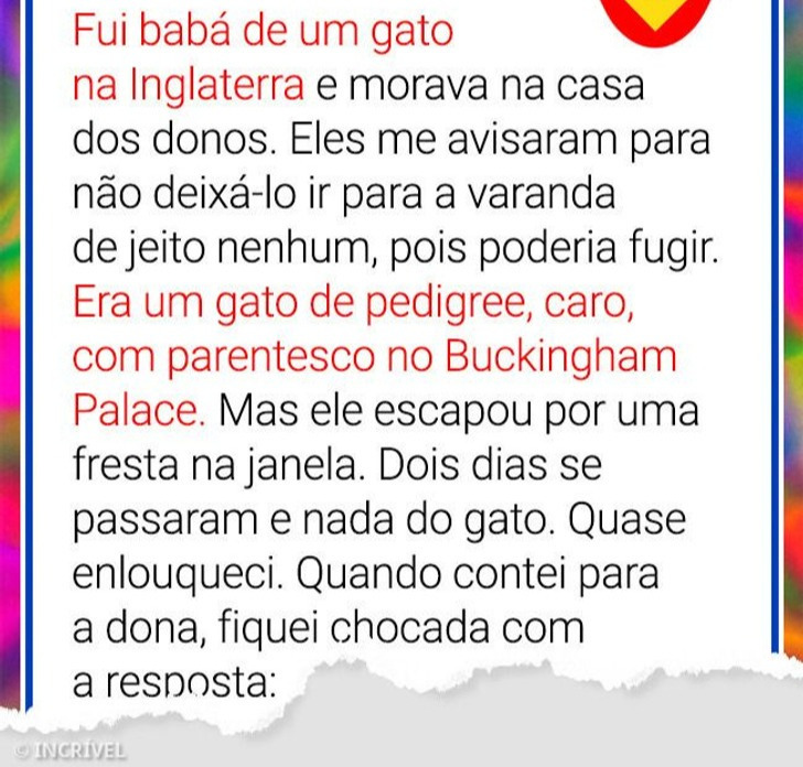 17 Relatos que provam que pets são mestres do caos e do humor