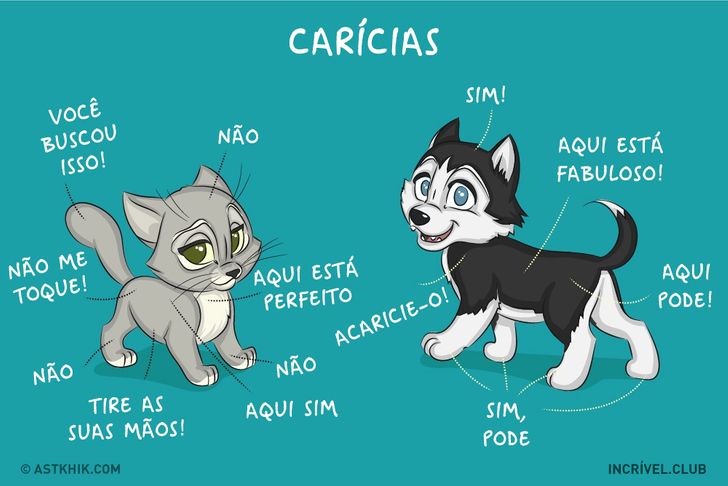 14 quadrinhos sobre as diferenças entre viver com um cão e com um gato