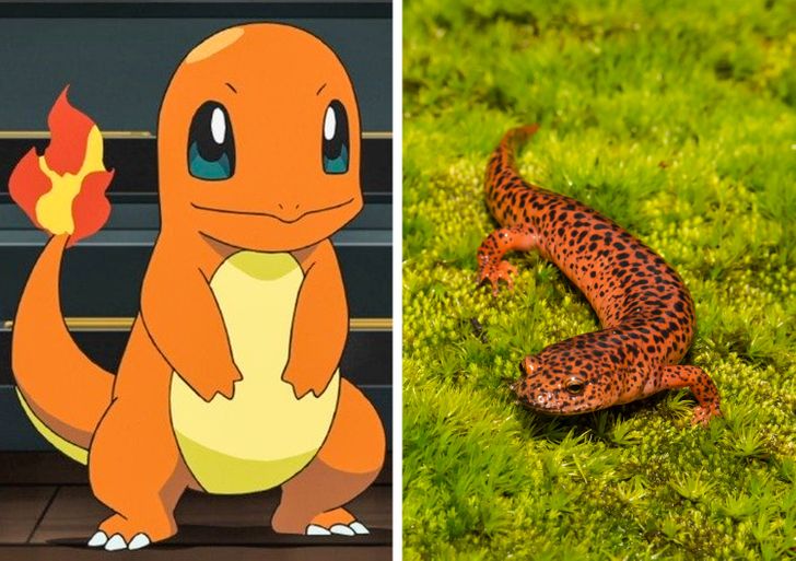 Esses animais são pokémons da vida real! #pokemon #pokemons