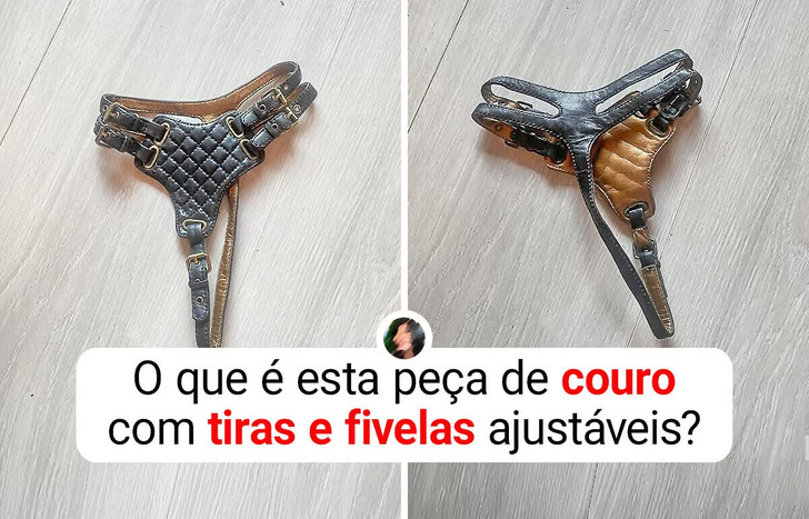 15 Objetos curiosos que desafiam a ideia de “nada é o que parece”