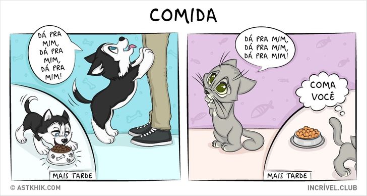 14 quadrinhos sobre as diferenças entre viver com um cão e com um gato