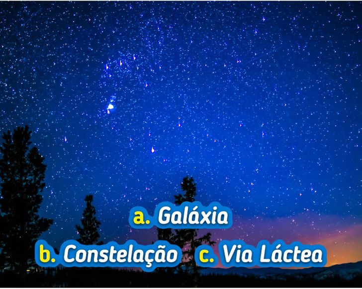 Genius Quiz - Português  Coletivos #quiz #quizchallenge