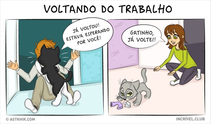 14 quadrinhos sobre as diferenças entre viver com um cão e com um gato