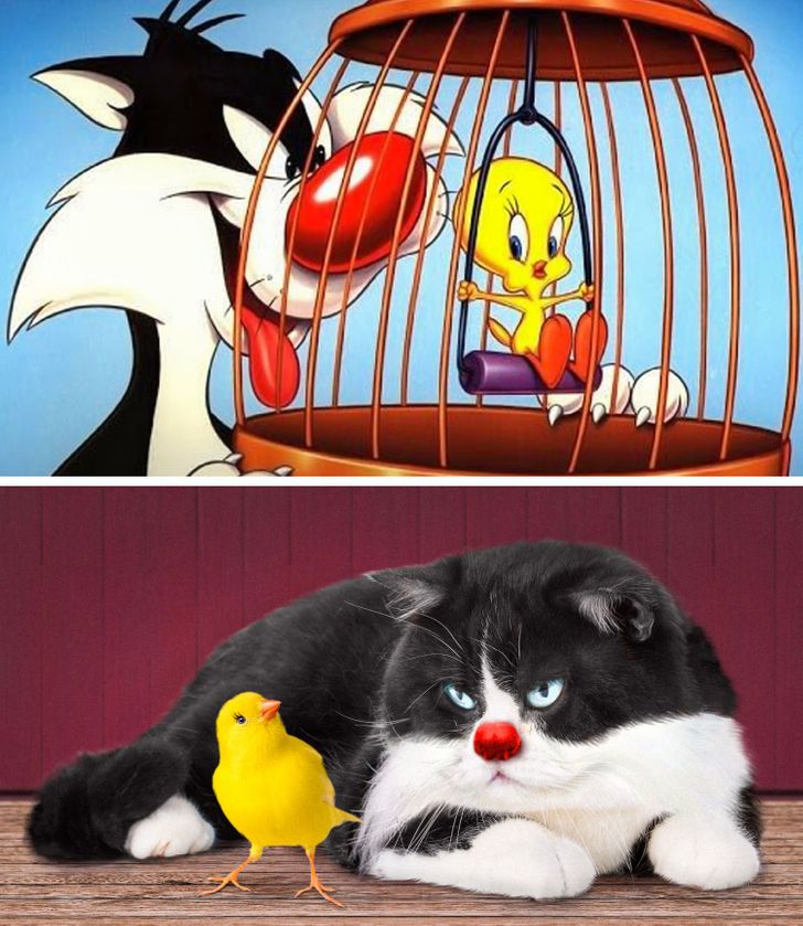 Gatos famosos dos desenhos animados - Pet Total Neem