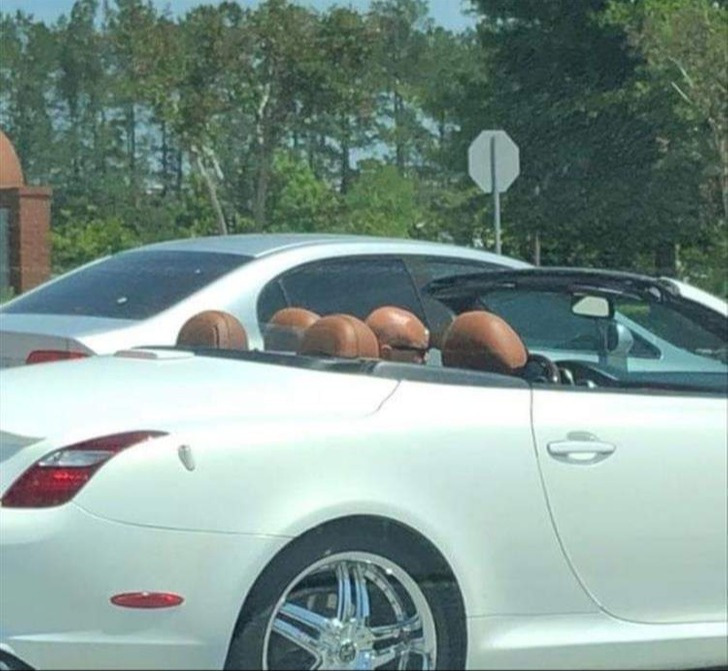 7. "Cinco homens carecas"