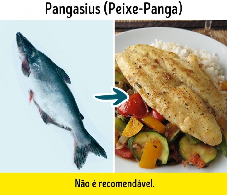 9 Tipos De Peixe Que E Melhor Evitar
