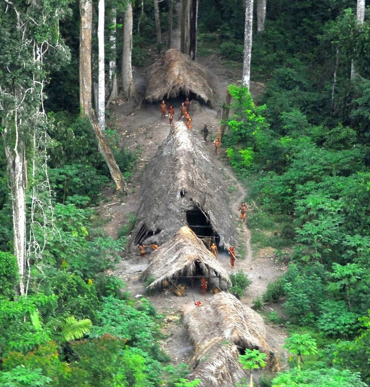 No entanto, essas tribos intocadas estão agora em perigo e precisam de proteção