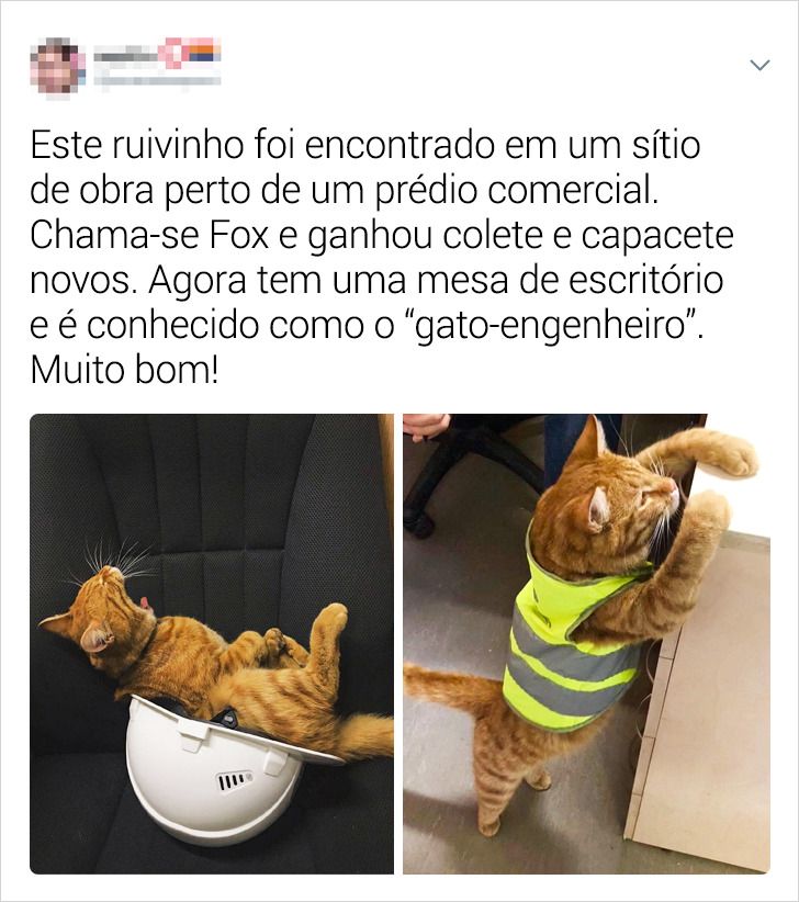 VIREI PAPAI DE UM BEBÊ GATO NO CAT SIMULATOR! 