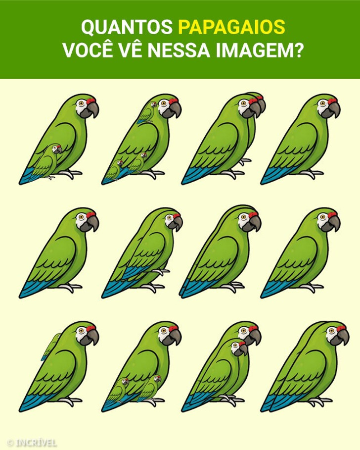 A resposta não é 12 ❌🙅‍♀️