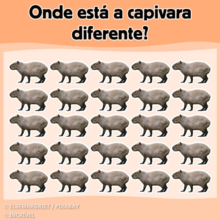 Teste: Encontre em 5 segundos a diferença entre estas imagens tão familiares aos brasileiros