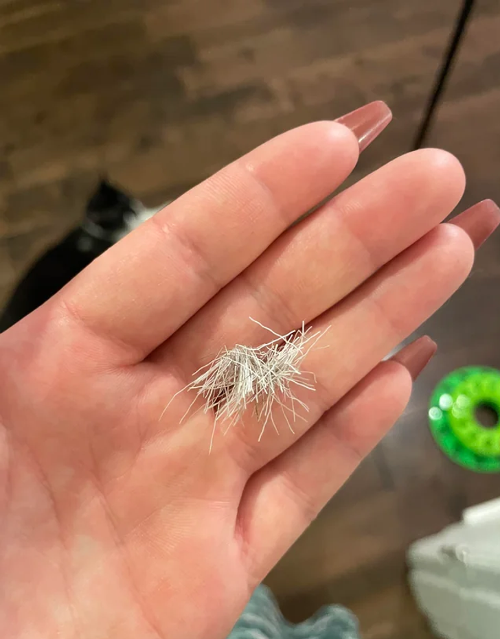 A woman with large nails holding small white yarns in the palm of her hand.